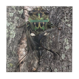 Cicada Keramik Tile Fliese