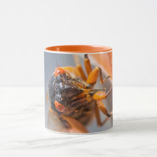 Cicada Mania Magicicada Orange Mug