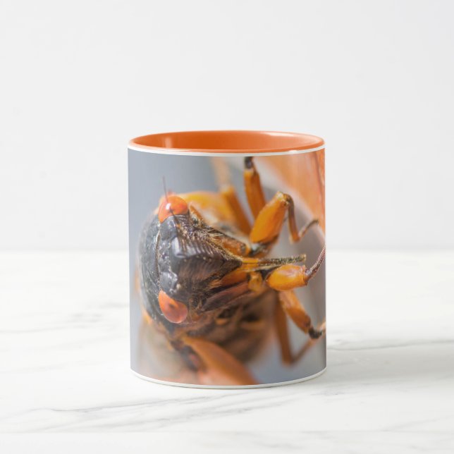 Cicada Mania Magicicada Orange Mug (Centre)