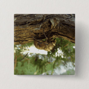 Cicada Muschel. Es war in Eile. Button