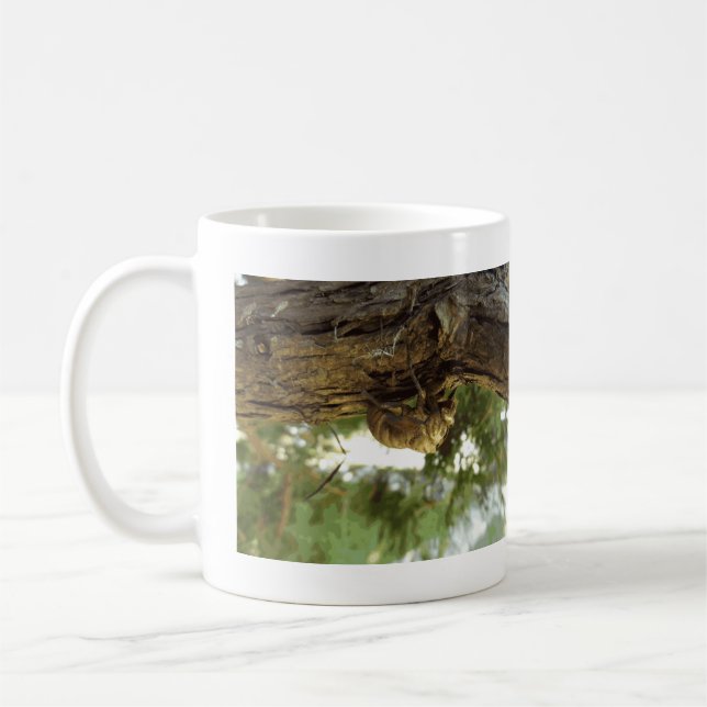 Cicada Muschel. Es war in Eile. Kaffeetasse (Links)