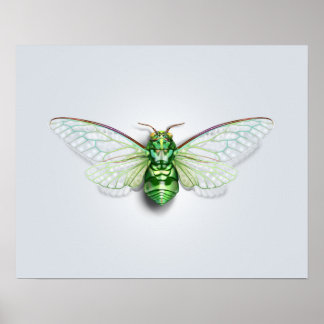 Cicada Poster