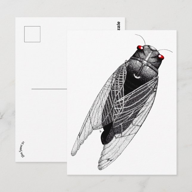 Cicada Postkarte (Vorne/Hinten)