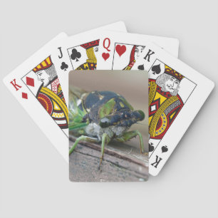 Cicada Spielkarten