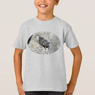 Cicada Ugly Bug Nature Insect T - Shirt