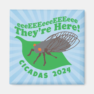 Cicadas 2024 Sie sind hier Magnet