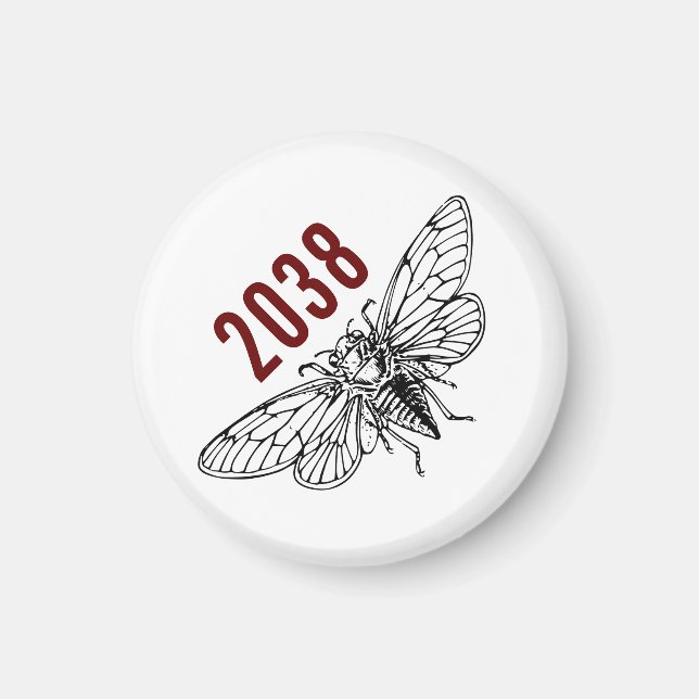 Cicadas 2038 magnet (Vorne)