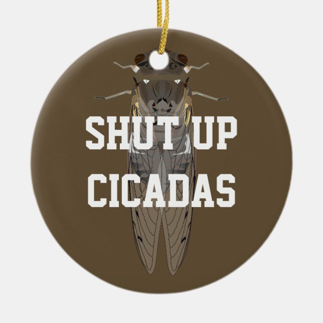 Cicadas beenden keramik ornament (Vorne)
