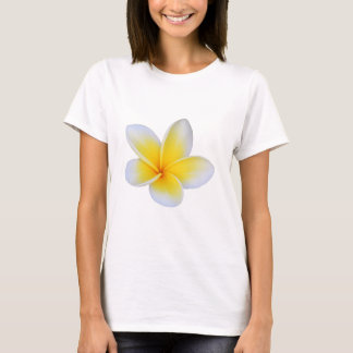 Cicy Bell Damen Casual Kurzarm T-Shirt – So