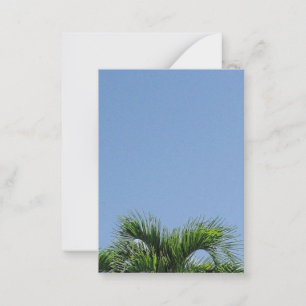 Ciel Bleu Et Palmiers Modèle Naturel Blanc Personn