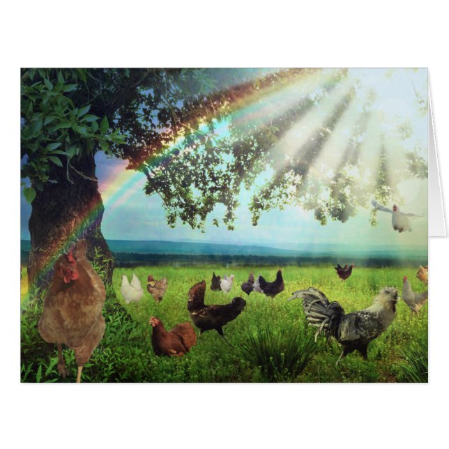 Ciel de poulet (Devant horizontal)