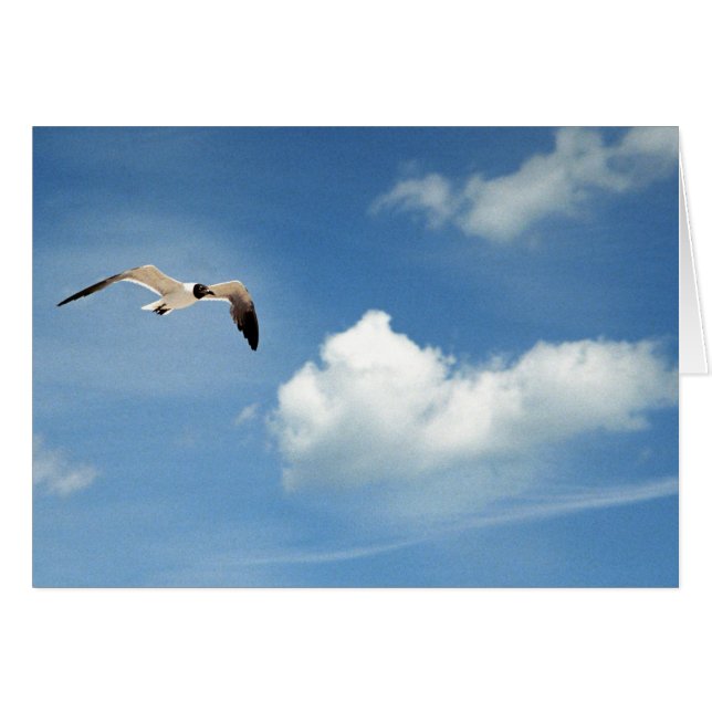 Ciel d'été (Devant horizontal)