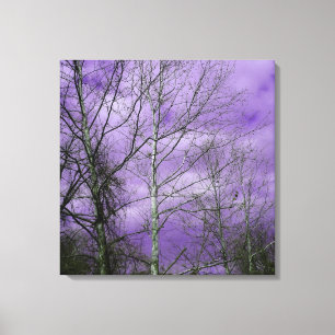 Ciel d'hiver avec la toile nue d'arbres