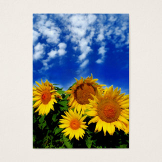 Ciel et fleur, cartes de profil