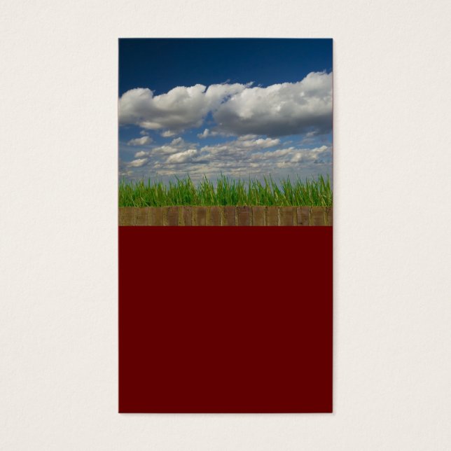ciel, herbe, briques (Devant)