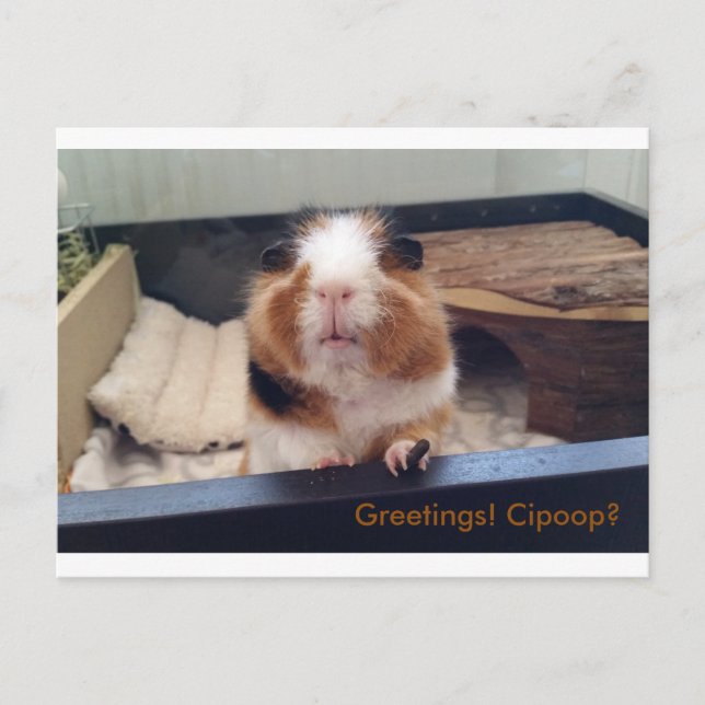 Cigar gekackt Postkarte (Vorderseite)