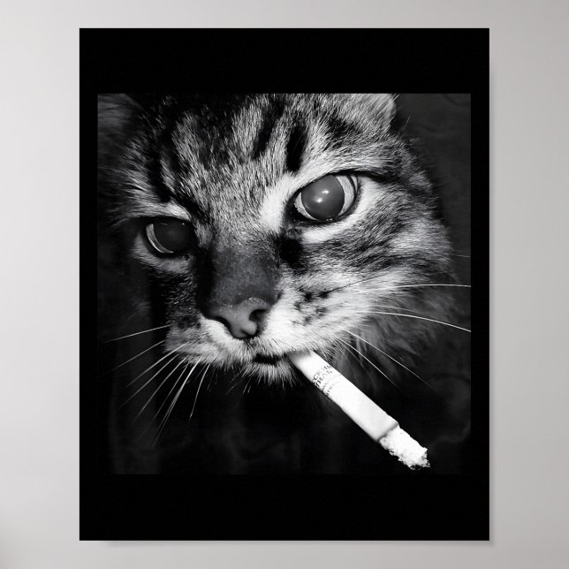 Cigarette Kitten Funny Smoking Cat Meme Stud Gehir Poster (Vorne)