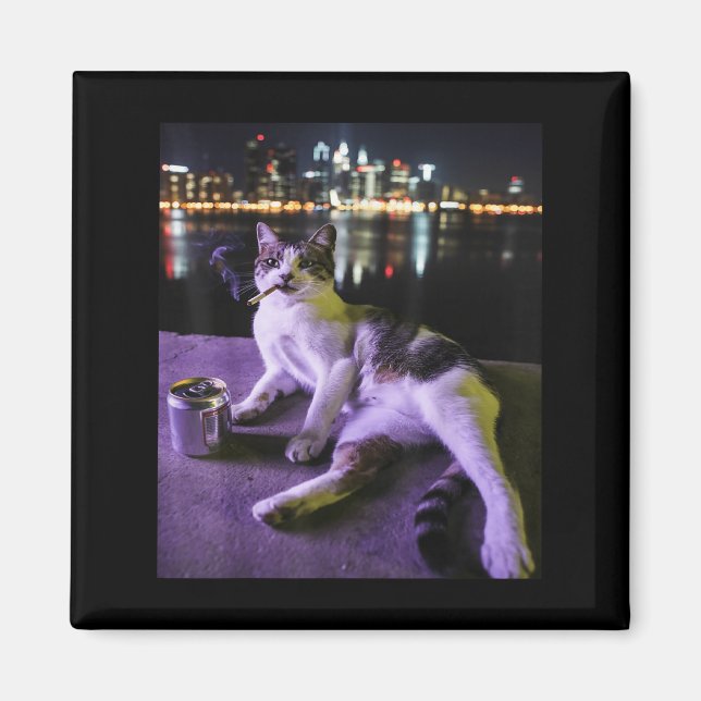 Cigarette Kitten Funny Smoking Cat Meme Stupid Bra Magnet (Vorne)