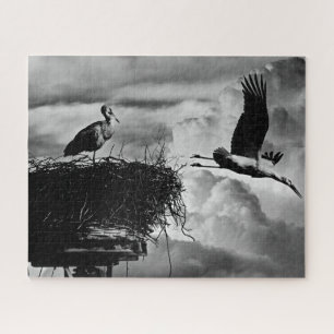Cigognes en noir et blanc, puzzle