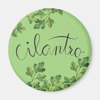 Cilantro-Gewürz Magnet