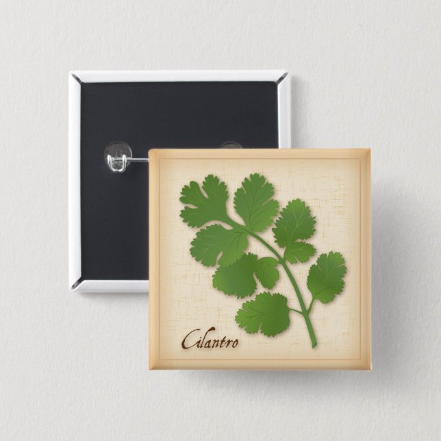 Cilantro Herb Button (Cilantro Herb Button, aromatic leaves with a distinctive flavor.)