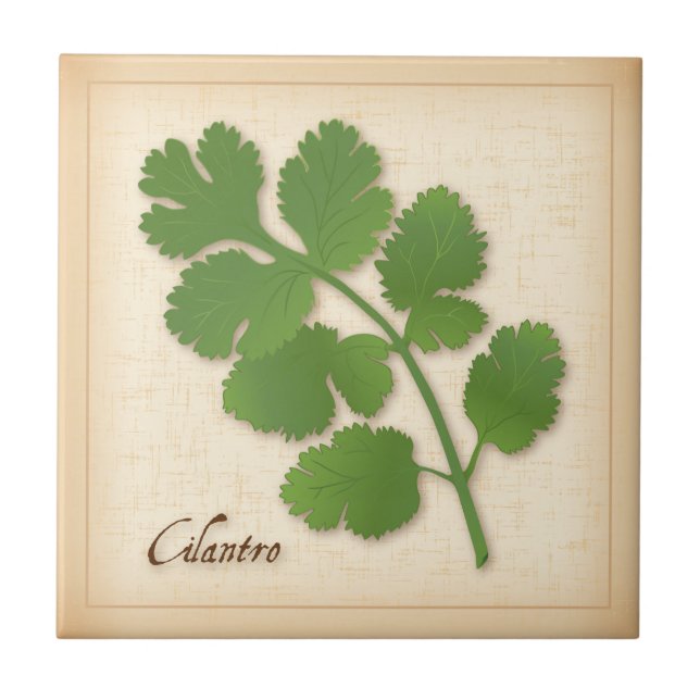 Cilantro Herb Fliese (Vorderseite)