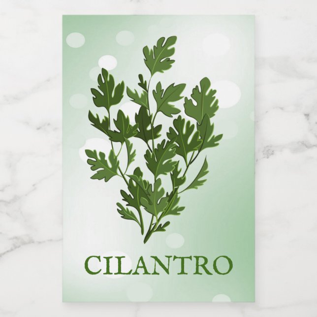 Cilantro Herbs Label Lebensmitteletikett (Einzelnes Label)
