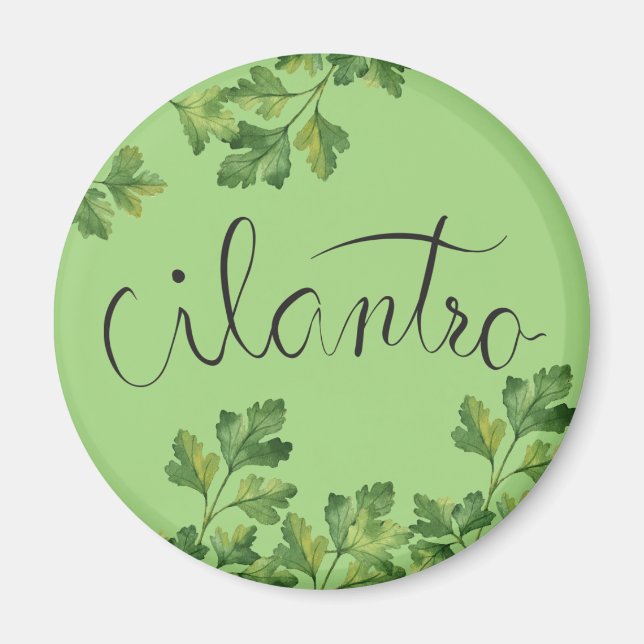 Cilatro Gewürz Magnet (Vorne)