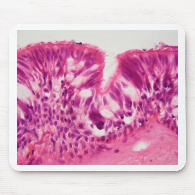 Ciliated Epithel unter dem Mikroskop Mousepad (Vorne)