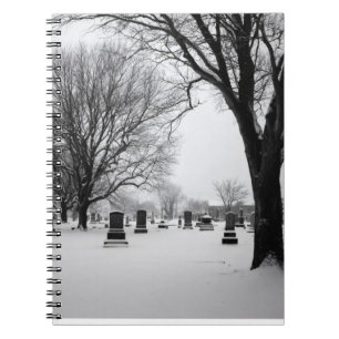Cimetière Neige Carnet d'humidité