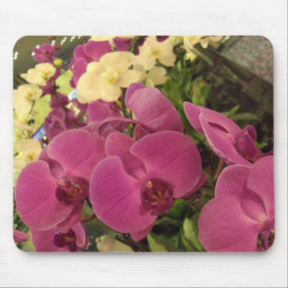 CIMG0482 MOUSEPAD