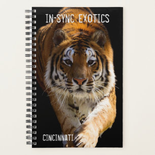 Cincinnati Tiger - Planer