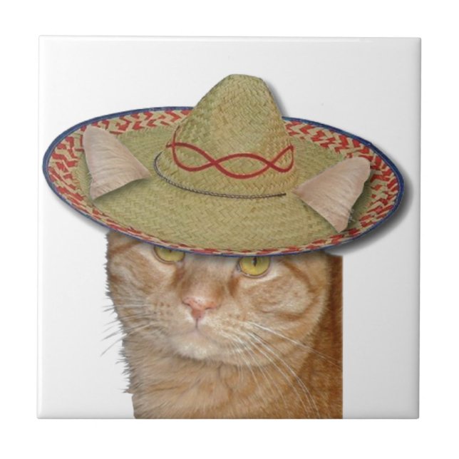 Cinco de Gato Fliese (Vorderseite)