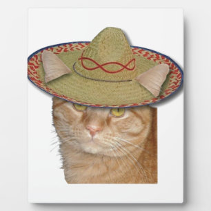 Cinco de Gato Fotoplatte