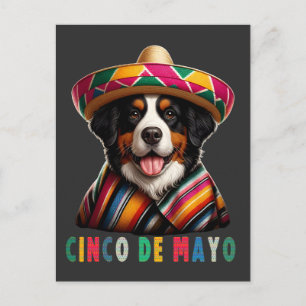 Cinco De Mayo Berner Hund mit Poncho und Sombrero Feiertagspostkarte