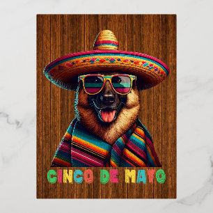 Cinco De Mayo Deutscher Schäferhund Mit Poncho Som Folien Feiertagspostkarte