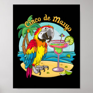Cinco De Mayo Party  Poster