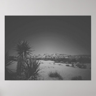 Cinematic Noir Black and White Joshua Tree Poster