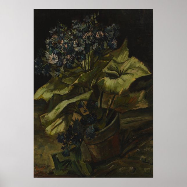 Cineraria by Vincent Van Gogh Poster (Vorne)
