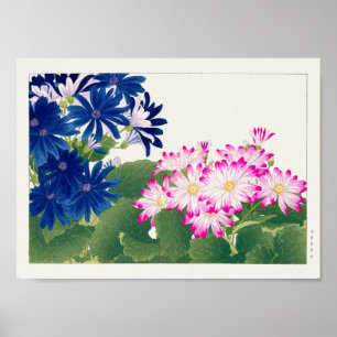 Cineraria von Tanigami Konan Poster