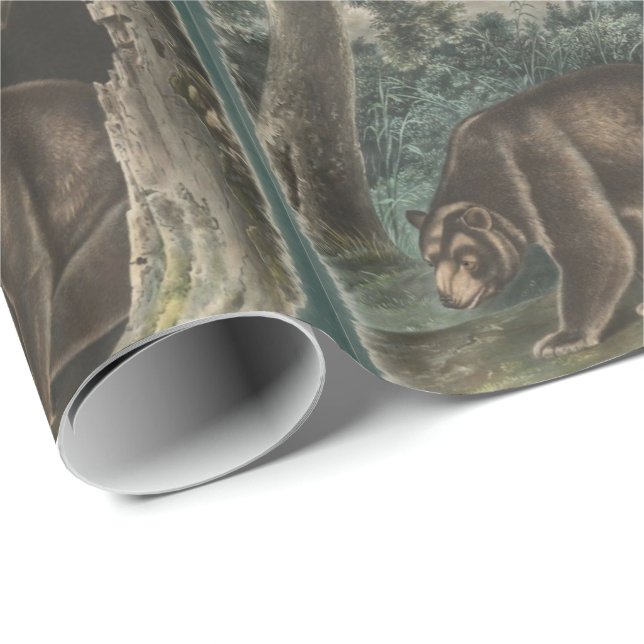 Cinnamon Bear von John James Audubon Geschenkpapier (Rolleneckpunkt)
