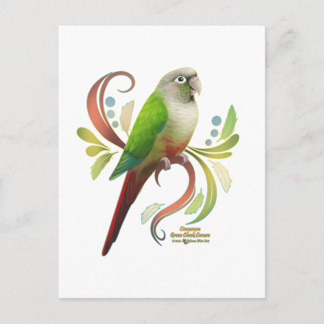 Cinnamon Green Cheek Conture Postkarte (Vorderseite)