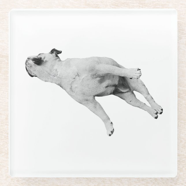 Cinnamon Pause Glasuntersetzer (Vorderseite)