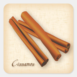 Cinnamon Spice Square Sticker