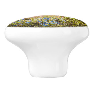 Cinque Terre Knob for Travellers  Keramikknauf