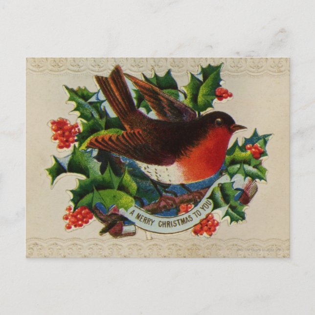Circa 1900: Ein traditionelles Weihnachtsrobin Feiertagspostkarte (Vorderseite)