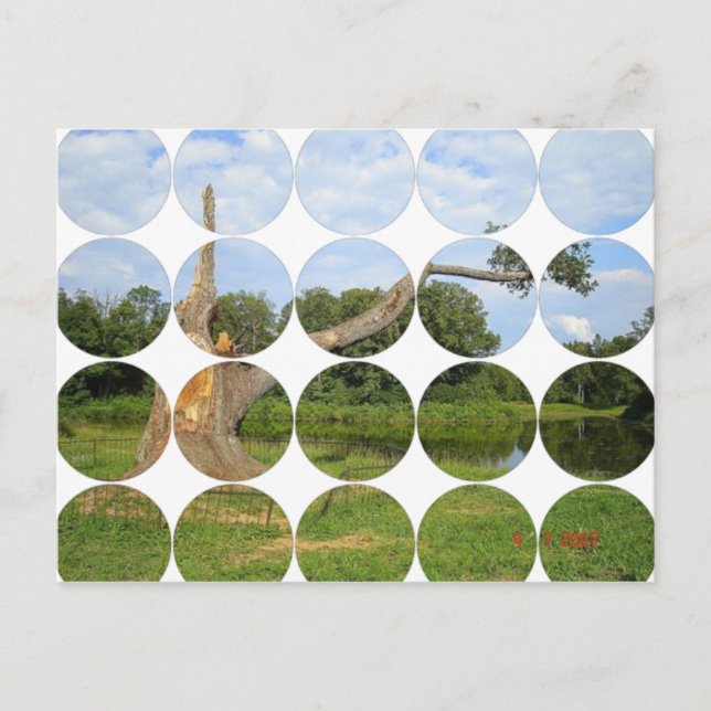 Circle Foto Postkarte (Vorderseite)