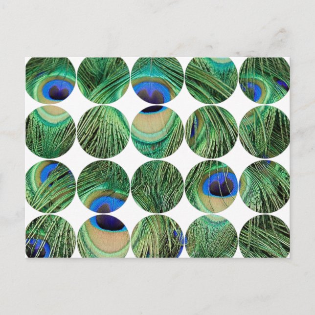 Circle Foto Postkarte (Vorderseite)