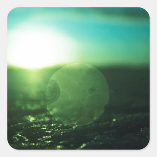 Circle in Square - Medium format analog Hasselblad Quadratischer Aufkleber