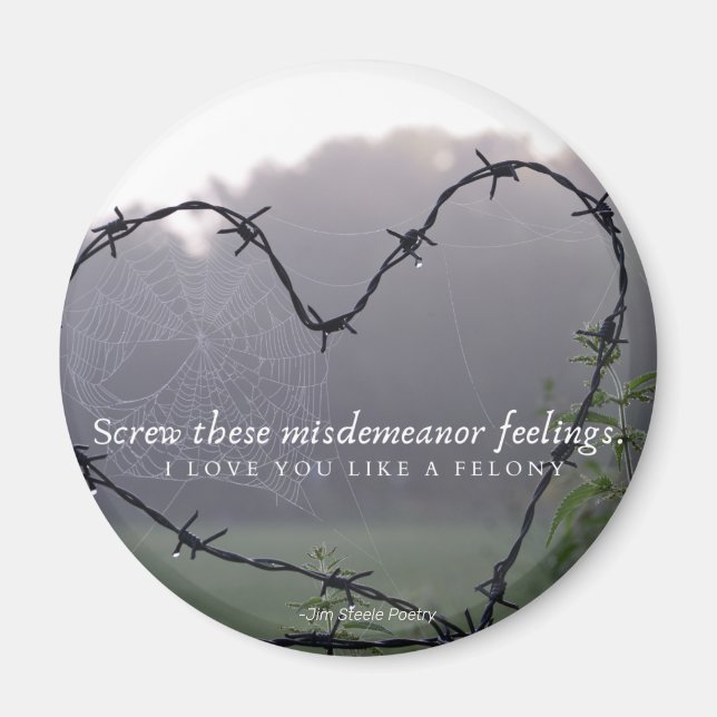 Circle Magnet Barbed Wire (Vorne)